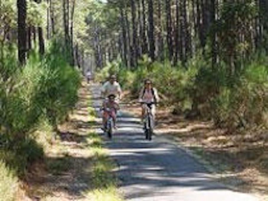 Maison De Vacances 4/5 Personnes A Leon, Landes Zewnętrze zdjęcie
